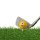 Emoji Universe: 2-Ply Professional Practice Novelty Golf Balls, 12 Emoji Balls