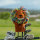 John Daly Lion Driver Daphne Headcover