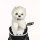 Westie (West Highland White Terrier) Driver Daphne Headcover