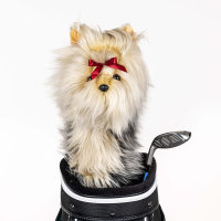 Yorkshire Terrier Driver Daphne Headcover